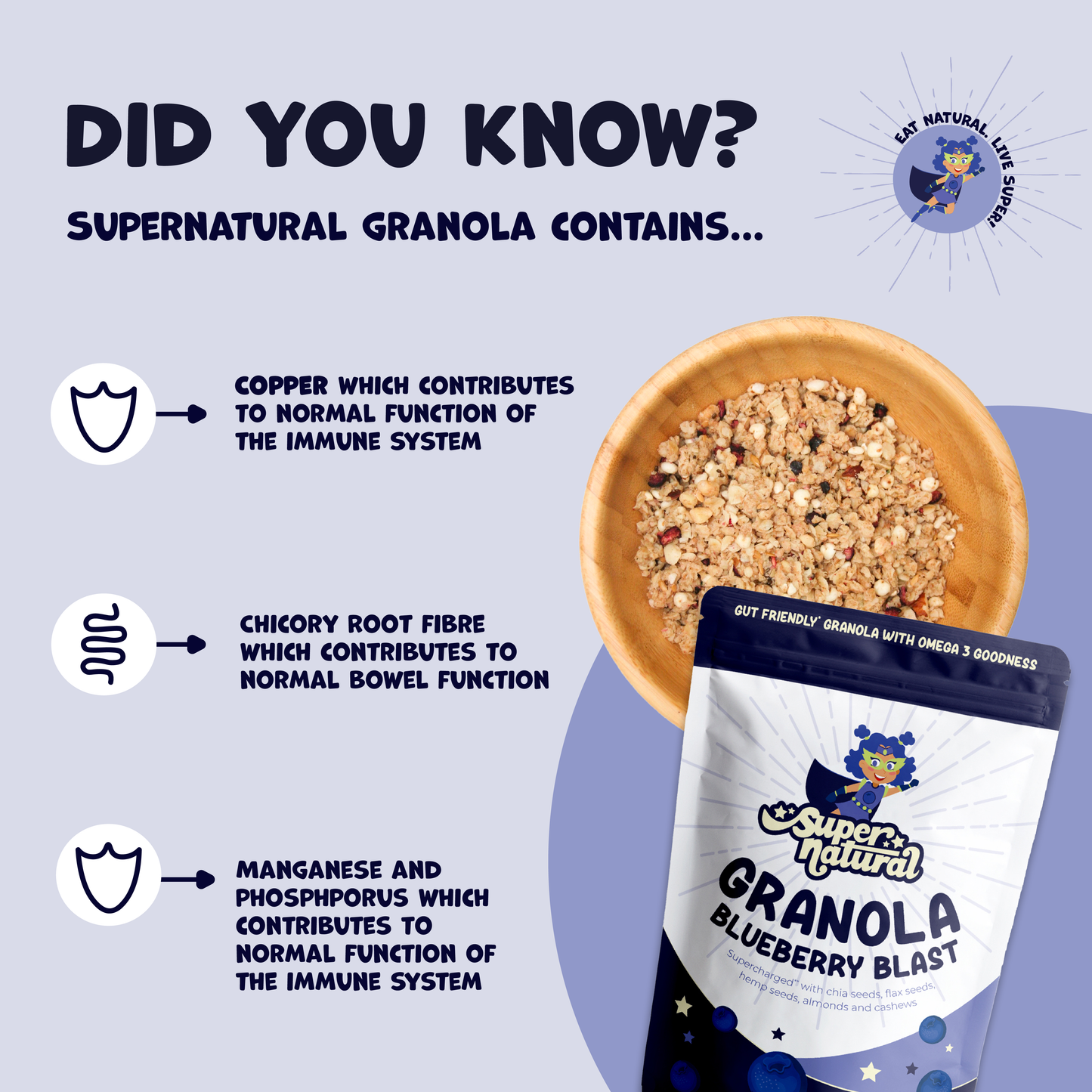 Blueberry Blast Granola